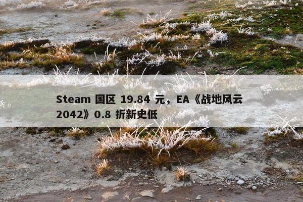 Steam 国区 19.84 元，EA《战地风云 2042》0.8 折新史低