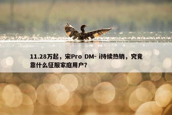 11.28万起，宋Pro DM- i持续热销，究竟靠什么征服家庭用户？