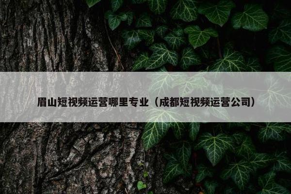 眉山短视频运营哪里专业（成都短视频运营公司）