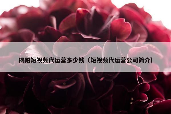 揭阳短视频代运营多少钱（短视频代运营公司简介）