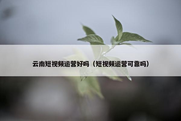 云南短视频运营好吗（短视频运营可靠吗）