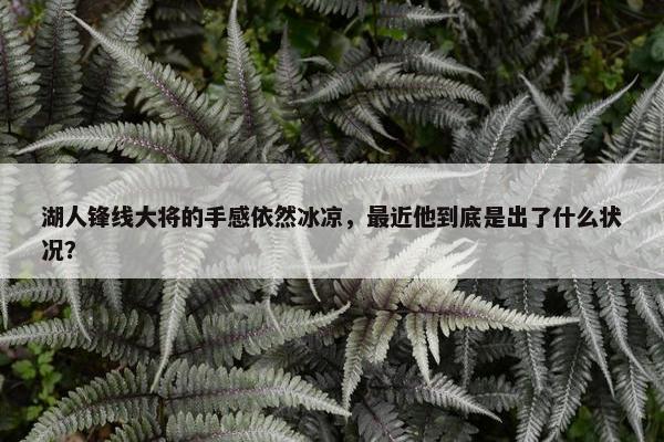 湖人锋线大将的手感依然冰凉，最近他到底是出了什么状况？