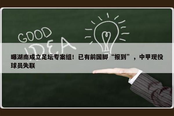 曝湖南成立足坛专案组！已有前国脚“报到”，中甲现役球员失联