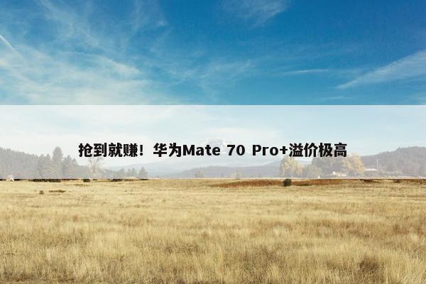 抢到就赚！华为Mate 70 Pro+溢价极高