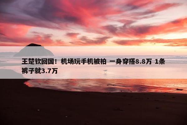 王楚钦回国！机场玩手机被拍 一身穿搭8.8万 1条裤子就3.7万