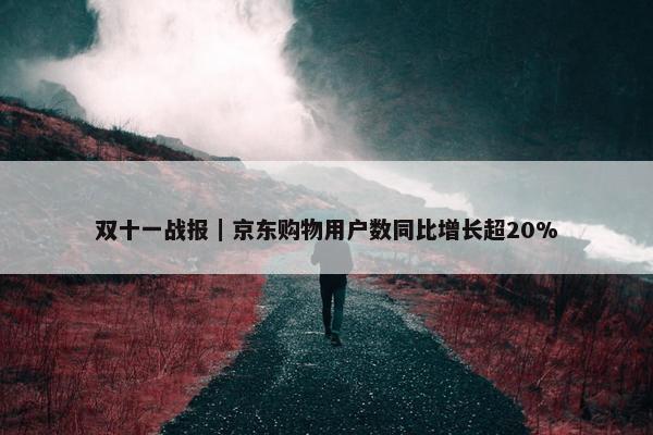 双十一战报｜京东购物用户数同比增长超20%