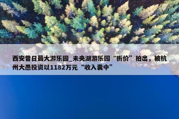 西安昔日最大游乐园_未央湖游乐园“折价”拍出，被杭州大愚投资以1182万元“收入囊中”