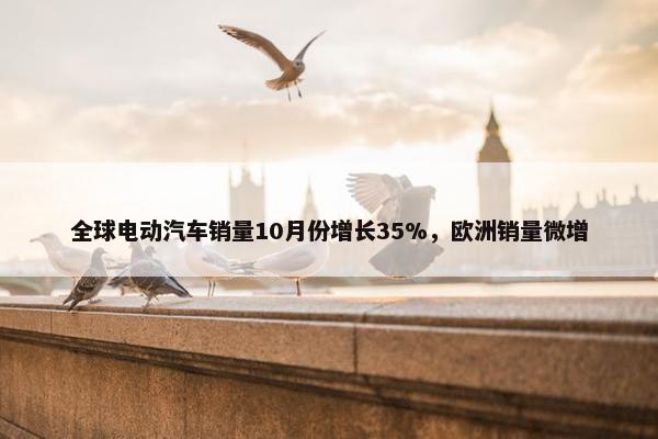 全球电动汽车销量10月份增长35%，欧洲销量微增