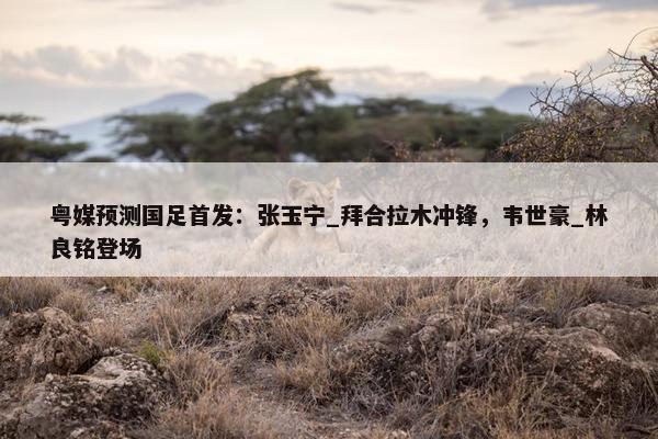 粤媒预测国足首发：张玉宁_拜合拉木冲锋，韦世豪_林良铭登场