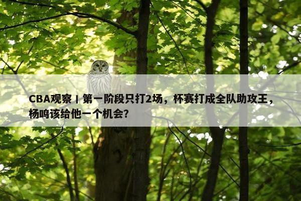 CBA观察丨第一阶段只打2场，杯赛打成全队助攻王，杨鸣该给他一个机会？