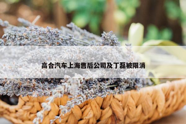 高合汽车上海售后公司及丁磊被限消