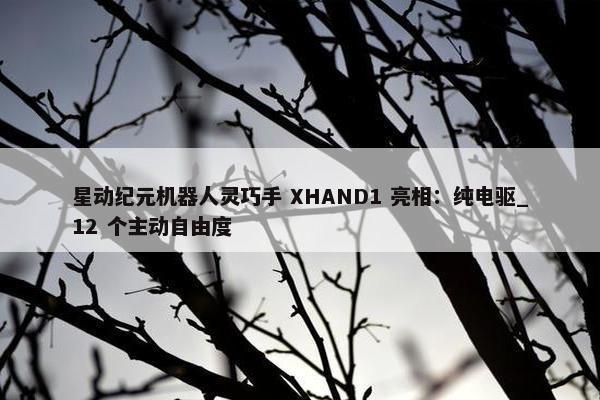 星动纪元机器人灵巧手 XHAND1 亮相：纯电驱_12 个主动自由度