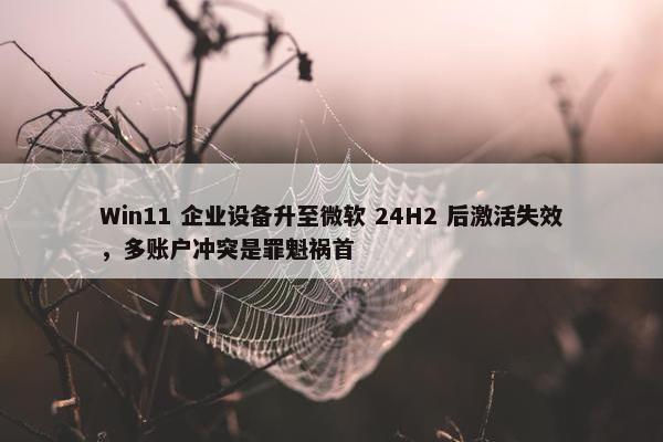 Win11 企业设备升至微软 24H2 后激活失效，多账户冲突是罪魁祸首