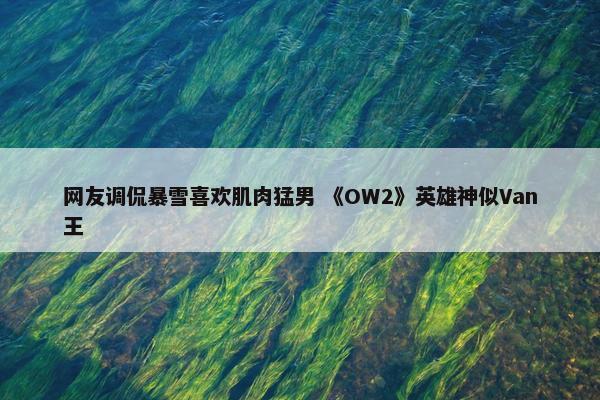 网友调侃暴雪喜欢肌肉猛男 《OW2》英雄神似Van王