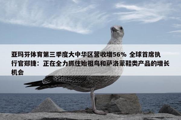 亚玛芬体育第三季度大中华区营收增56% 全球首席执行官郑捷：正在全力抓住始祖鸟和萨洛蒙鞋类产品的增长机会