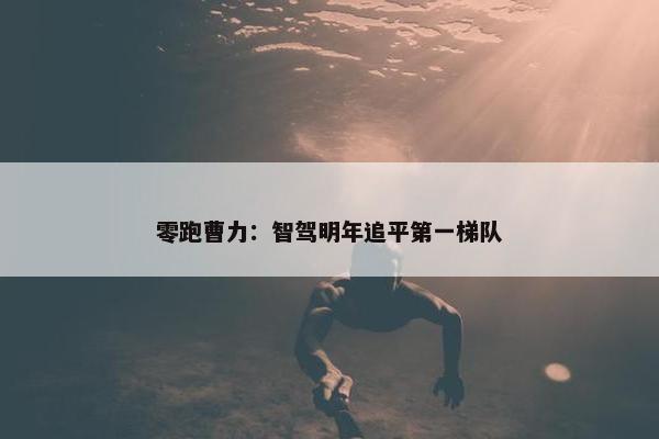 零跑曹力：智驾明年追平第一梯队