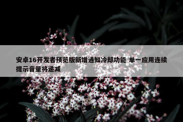 安卓16开发者预览版新增通知冷却功能 单一应用连续提示音量将递减