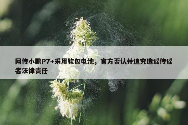 网传小鹏P7+采用软包电池，官方否认并追究造谣传谣者法律责任