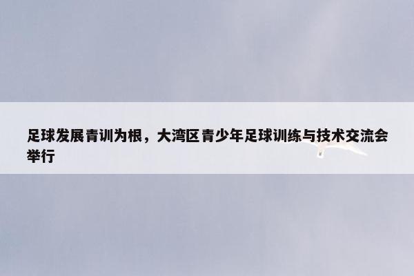 足球发展青训为根，大湾区青少年足球训练与技术交流会举行