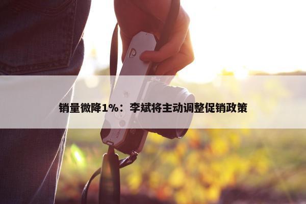 销量微降1%：李斌将主动调整促销政策