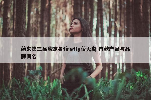 蔚来第三品牌定名firefly萤火虫 首款产品与品牌同名