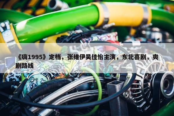 《嗨1995》定档，张维伊吴佳怡主演，东北喜剧，爽剧路线