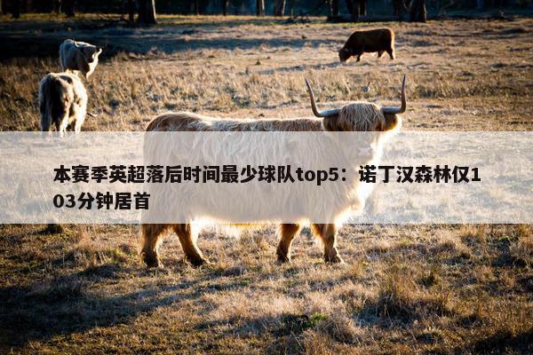 本赛季英超落后时间最少球队top5：诺丁汉森林仅103分钟居首