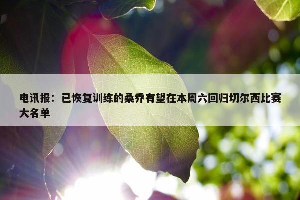 电讯报：已恢复训练的桑乔有望在本周六回归切尔西比赛大名单