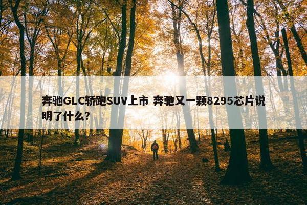 奔驰GLC轿跑SUV上市 奔驰又一颗8295芯片说明了什么？