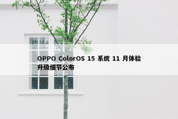 OPPO ColorOS 15 系统 11 月体验升级细节公布