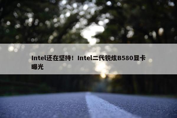 Intel还在坚持！Intel二代锐炫B580显卡曝光