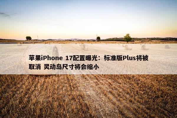 苹果iPhone 17配置曝光：标准版Plus将被取消 灵动岛尺寸将会缩小