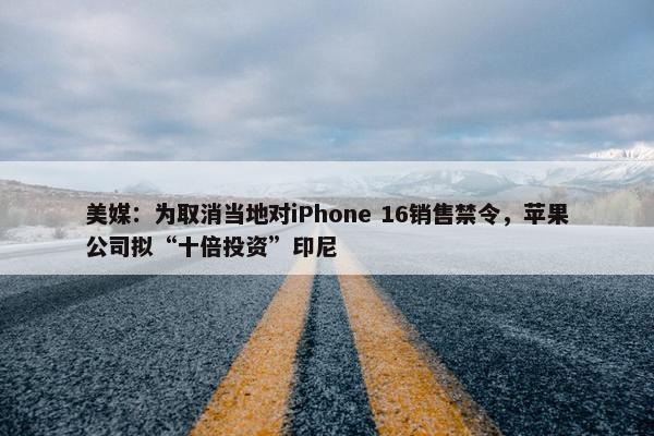 美媒：为取消当地对iPhone 16销售禁令，苹果公司拟“十倍投资”印尼