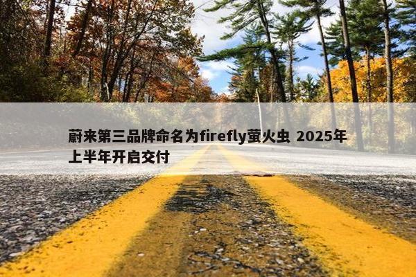 蔚来第三品牌命名为firefly萤火虫 2025年上半年开启交付