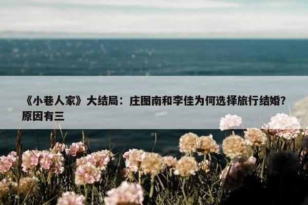 《小巷人家》大结局：庄图南和李佳为何选择旅行结婚？原因有三