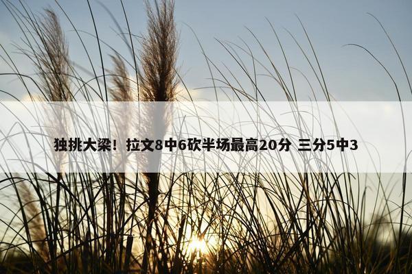 独挑大梁！拉文8中6砍半场最高20分 三分5中3