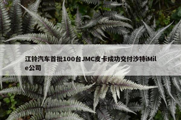 江铃汽车首批100台JMC皮卡成功交付沙特iMile公司