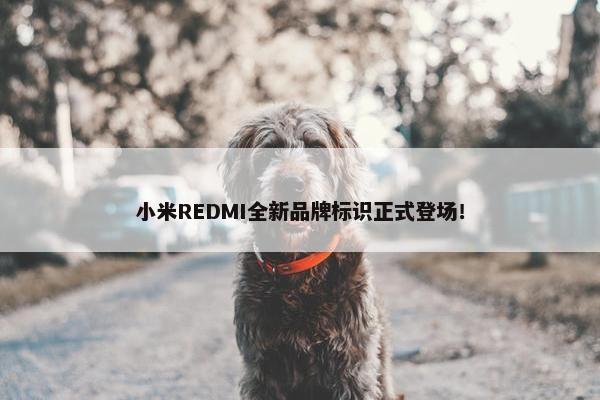 小米REDMI全新品牌标识正式登场！