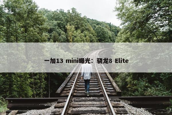 一加13 mini曝光：骁龙8 Elite