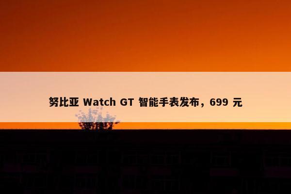 努比亚 Watch GT 智能手表发布，699 元