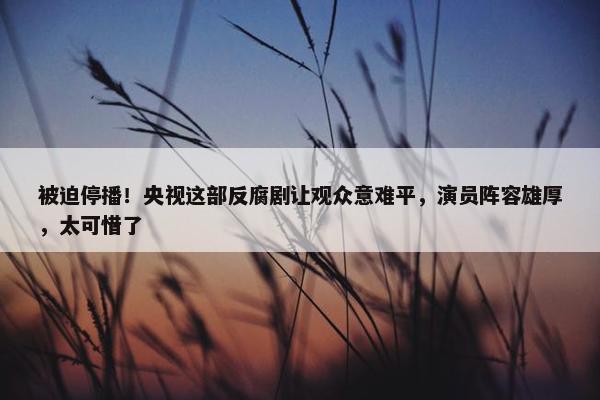 被迫停播！央视这部反腐剧让观众意难平，演员阵容雄厚，太可惜了