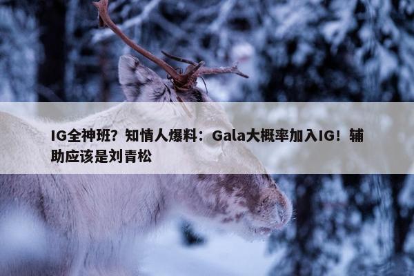 IG全神班？知情人爆料：Gala大概率加入IG！辅助应该是刘青松