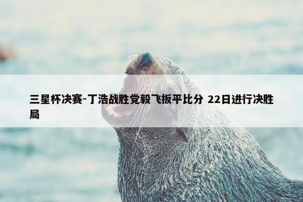 三星杯决赛-丁浩战胜党毅飞扳平比分 22日进行决胜局