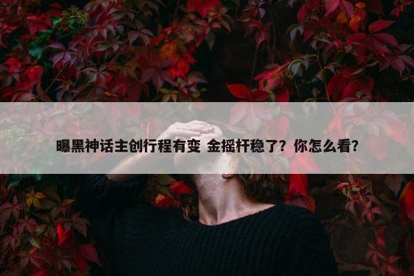 曝黑神话主创行程有变 金摇杆稳了？你怎么看？