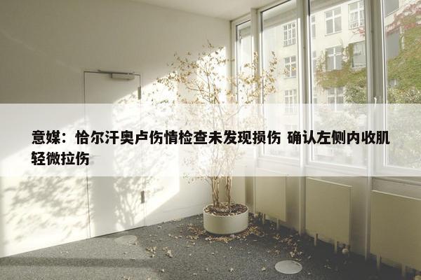 意媒：恰尔汗奥卢伤情检查未发现损伤 确认左侧内收肌轻微拉伤