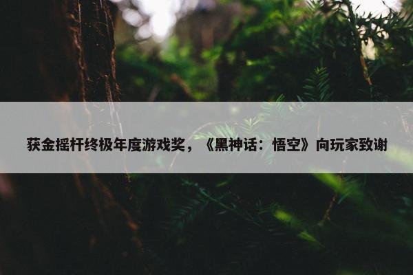 获金摇杆终极年度游戏奖，《黑神话：悟空》向玩家致谢