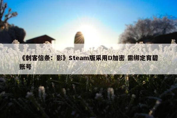 《刺客信条：影》Steam版采用D加密 需绑定育碧账号