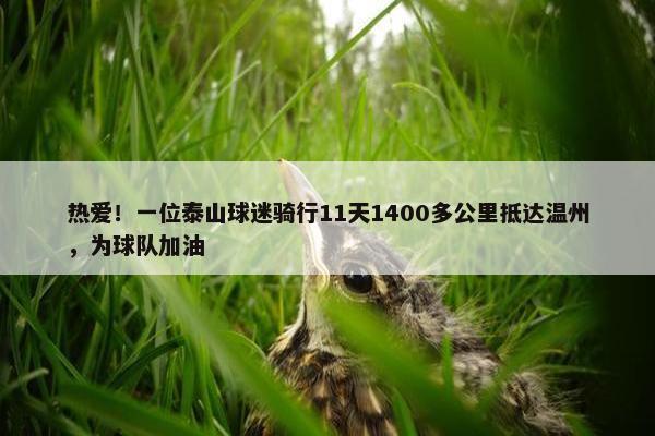 热爱！一位泰山球迷骑行11天1400多公里抵达温州，为球队加油