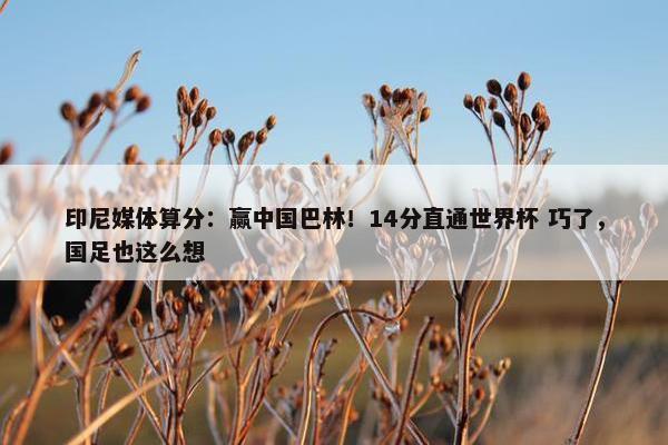 印尼媒体算分：赢中国巴林！14分直通世界杯 巧了，国足也这么想