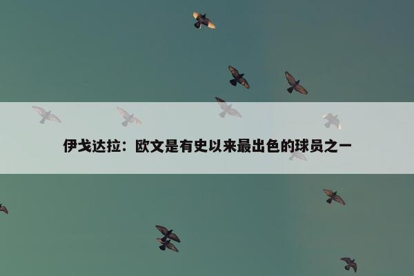 伊戈达拉：欧文是有史以来最出色的球员之一